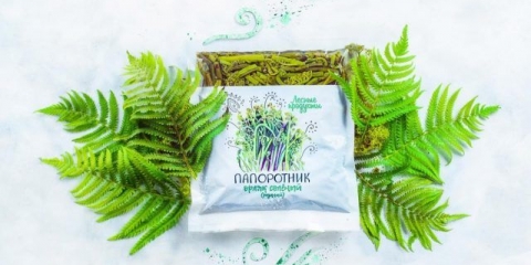 Kako kuhati slanu paprat: recepti za ukusna jela sa i bez mesa